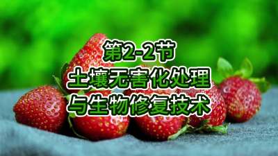 第2-2节-土壤无害化处理与生物修复技术