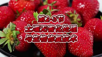 第2-3节-土壤无害化处理与生物修复技术