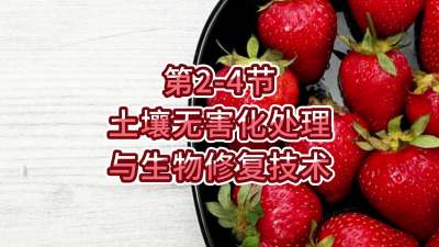 第2-4节-土壤无害化处理与生物修复技术