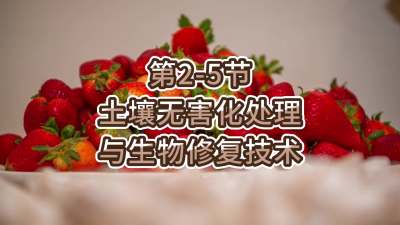 第2-5节-土壤无害化处理与生物修复技术
