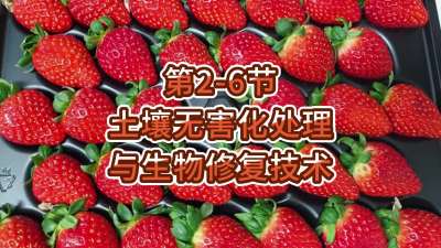 第2-6节-土壤无害化处理与生物修复技术