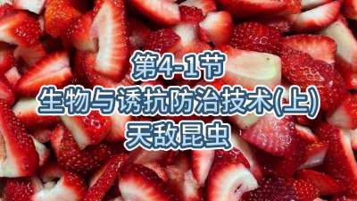 第4-1节-生物与诱抗防治技术（上）-天敌昆虫