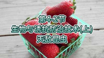 第4-2节-生物与诱抗防治技术（上）-天敌昆虫