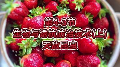第4-3节-生物与诱抗防治技术（上）-天敌昆虫