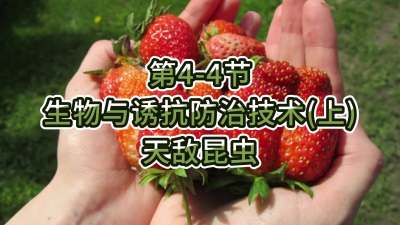 第4-4节-生物与诱抗防治技术（上）-天敌昆虫