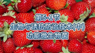 第5-1节-生物与诱抗防治技术（中）-功能微生物菌