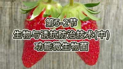 第5-2节-生物与诱抗防治技术（中）-功能微生物菌