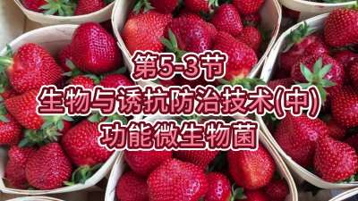 第5-3节-生物与诱抗防治技术（中）-功能微生物菌