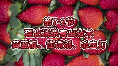 第7-2节-理化诱杀害虫技术-黄蓝板、性诱剂、杀虫灯