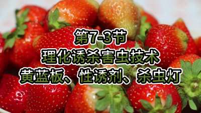 第7-3节-理化诱杀害虫技术-黄蓝板、性诱剂、杀虫灯