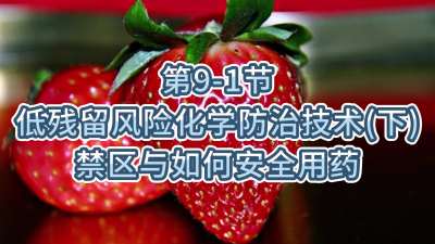 第9-1节-低残留风险化学防治技术（下）-禁区与如何安全用药