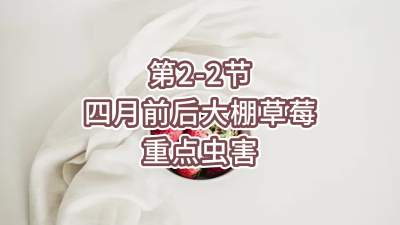 第2-2节-四月前后大棚草莓重点虫害