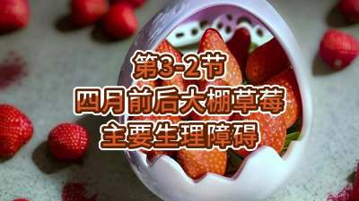 第3-2节-四月前后大棚草莓主要生理障碍