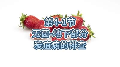 第4-1节-无菌-地下部分炭疽病的排查