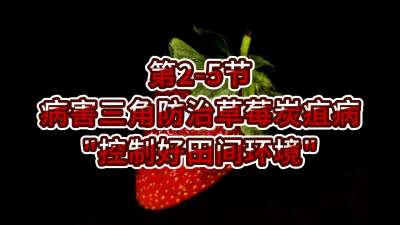 第2-5节-病害三角防治草莓炭疽病-&ldquo;控制好田间环境&rdquo;