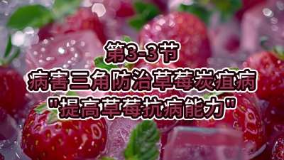第3-3节-病害三角防治草莓炭疽病-&ldquo;提高草莓抗病能力&rdquo;