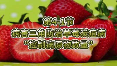第4-1节-病害三角防治草莓炭疽病-&ldquo;控制病原物数量&rdquo;