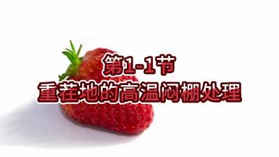 第1-1节-重茬地的高温闷棚处理