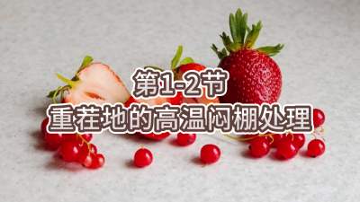 第1-2节-重茬地的高温闷棚处理