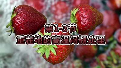 第1-3节-重茬地的高温闷棚处理