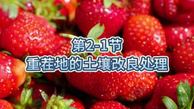 第2-1节-重茬地的土壤改良处理