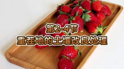 第2-4节-重茬地的土壤改良处理