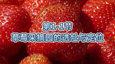 第1-1节-草莓采摘园的选址与定位