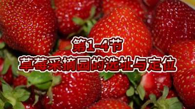 第1-4节-草莓采摘园的选址与定位
