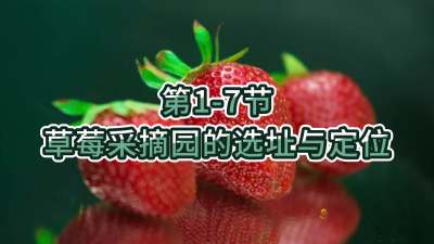 第1-7节-草莓采摘园的选址与定位