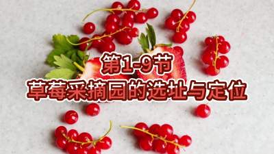 第1-9节-草莓采摘园的选址与定位