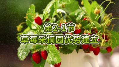 第2-1节-草莓采摘园优势建立