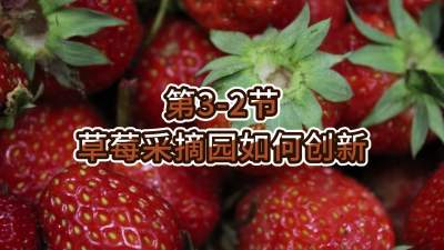 第3-2节-草莓采摘园如何创新