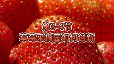 第3-4节-草莓采摘园如何创新
