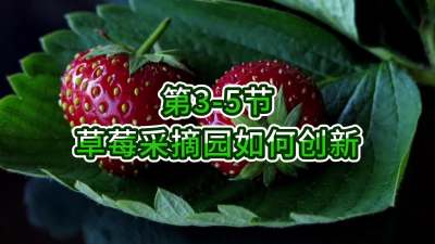 第3-5节-草莓采摘园如何创新