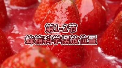 第1-2节-蜂箱科学摆放位置