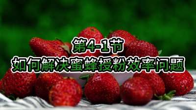 第4-1节-如何解决蜜蜂授粉效率问题
