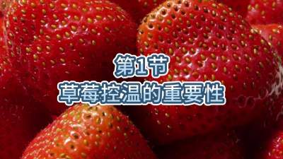 第1节-草莓控温的重要性