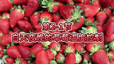 第2-1节-白天夜晚的草莓温度控制