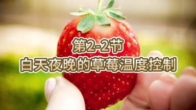 第2-2节-白天夜晚的草莓温度控制