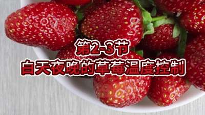 第2-3节-白天夜晚的草莓温度控制