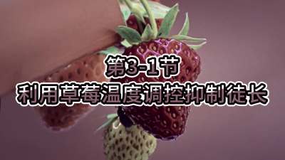 第3-1节-利用草莓温度调控抑制徒长