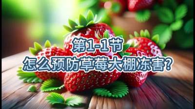 第1-1节-怎么预防草莓大棚冻害？