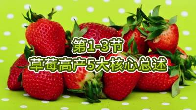 第1-3节-草莓高产5大核心总述