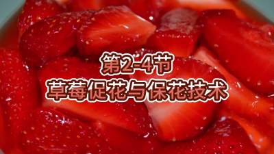 第2-4节-草莓促花与保花技术