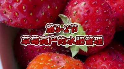 第3-2节-草莓高产的水肥管理