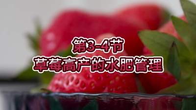 第3-4节-草莓高产的水肥管理