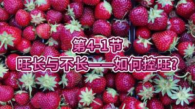 第4-1节-旺长与不长&mdash;&mdash;如何控旺？