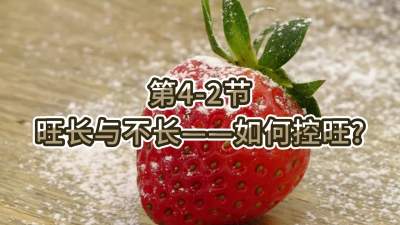 第4-2节-旺长与不长&mdash;&mdash;如何控旺？