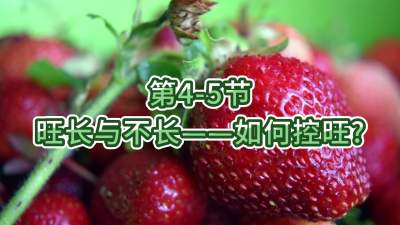第4-5节-旺长与不长&mdash;&mdash;如何控旺？