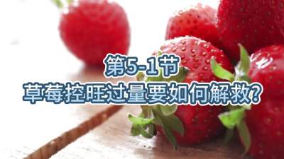 第5-1节-草莓控旺过量要如何解救？